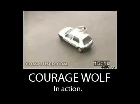 Courage_wolf_carjump.gif
