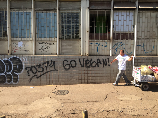 go_vegan_street_art_in_brazil.jpg